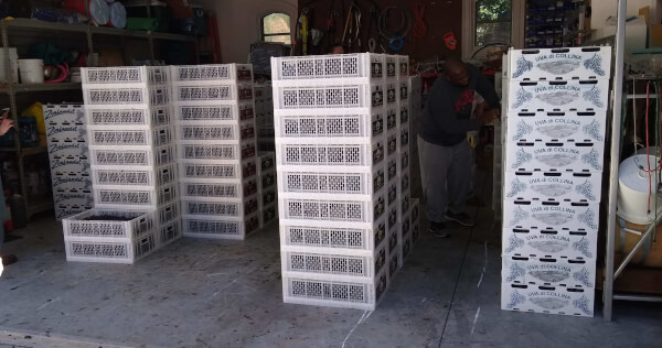 Grapes in the garage