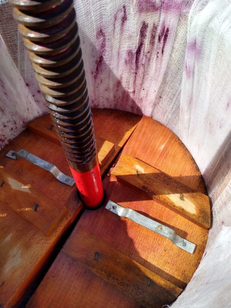 Winemaking 101 Episode 4 Fermentation & Pressing Bryan's Wine